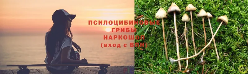 что такое наркотик  Тарко-Сале  Галлюциногенные грибы Psilocybe 